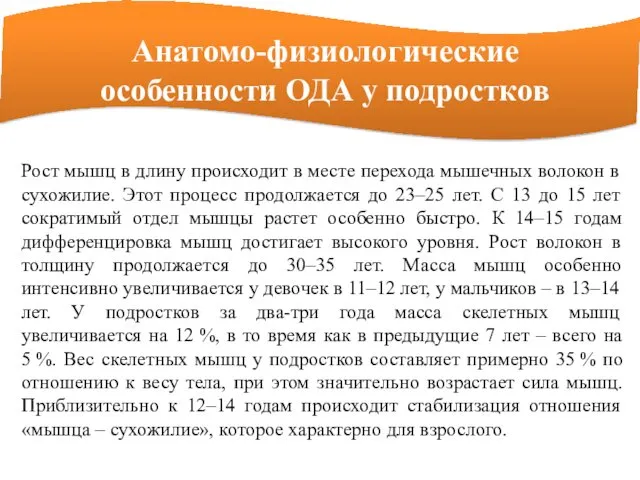 Рост мышц в длину происходит в месте перехода мышечных волокон