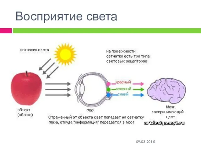 Восприятие света 09.03.2015