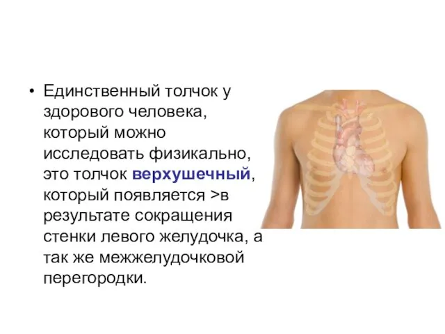 Единственный толчок у здорового человека, который можно исследовать физикально, это