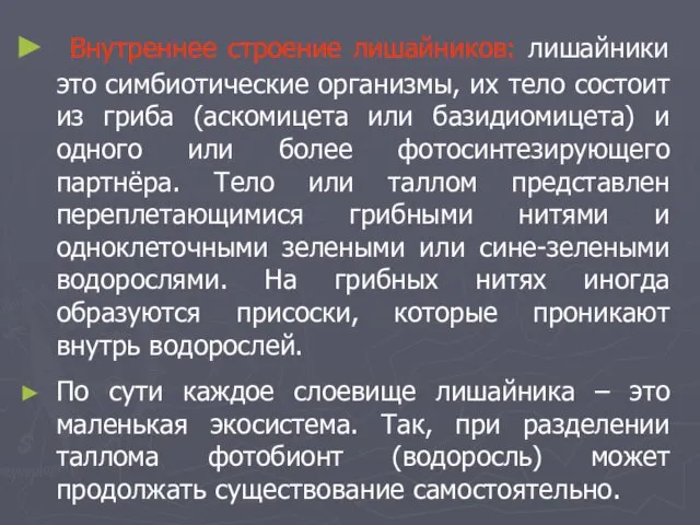 Внутреннее строение лишайников: лишайники это симбиотические организмы, их тело состоит