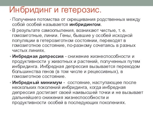 Инбридинг и гетерозис. Получение потомства от скрещивания родственных между собой