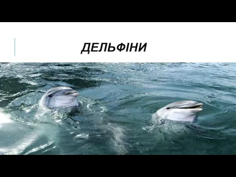 ДЕЛЬФІНИ