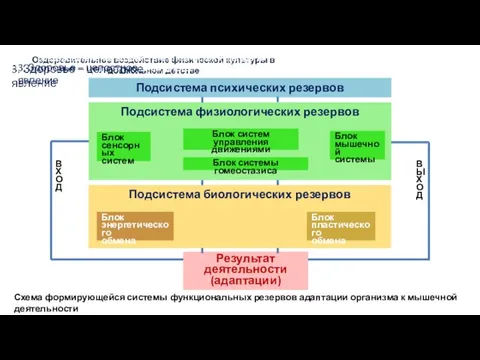 Оздоровительное воздействие физической культуры в дошкольном детстве 3. Здоровье –