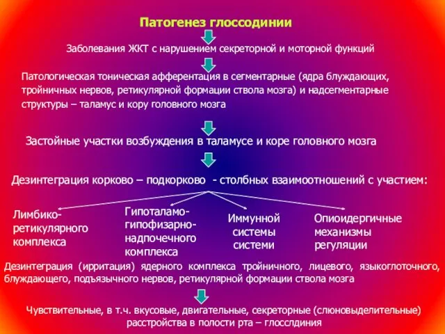 Патогенез глоссодинии Заболевания ЖКТ с нарушением секреторной и моторной функций Патологическая тоническая афферентация