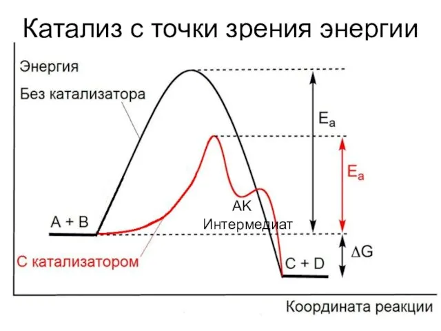 Катализ с точки зрения энергии AK Интермедиат