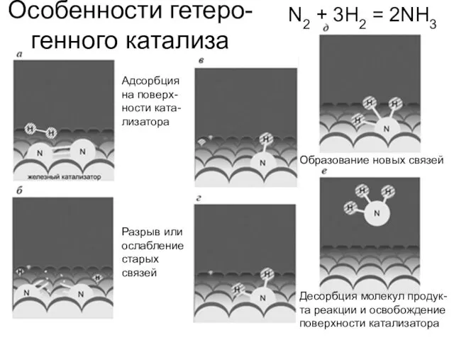 Особенности гетеро-генного катализа Адсорбция на поверх-ности ката-лизатора Разрыв или ослабление
