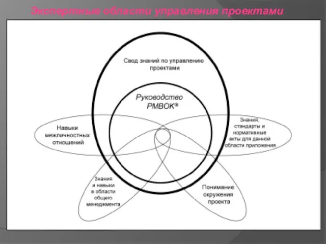 Экспертные области управления проектами