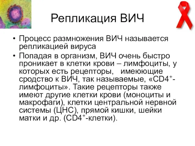 Репликация ВИЧ Процесc размножения ВИЧ называется репликацией вируса Попадая в