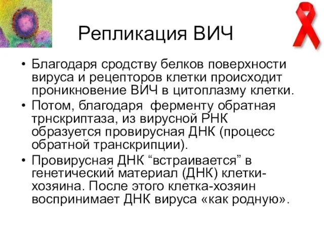 Репликация ВИЧ Благодаря сродству белков поверхности вируса и рецепторов клетки