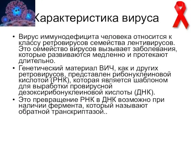 Характеристика вируса Вирус иммунодефицита человека относится к классу ретровирусов семейства