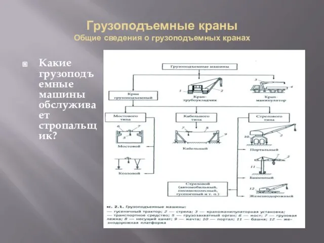 Грузоподъемные краны Общие сведения о грузоподъемных кранах Какие грузоподъемные машины обслуживает стропальщик?