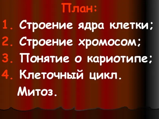 План: 1. Строение ядра клетки; 2. Строение хромосом; 3. Понятие о кариотипе; 4. Клеточный цикл. Митоз.