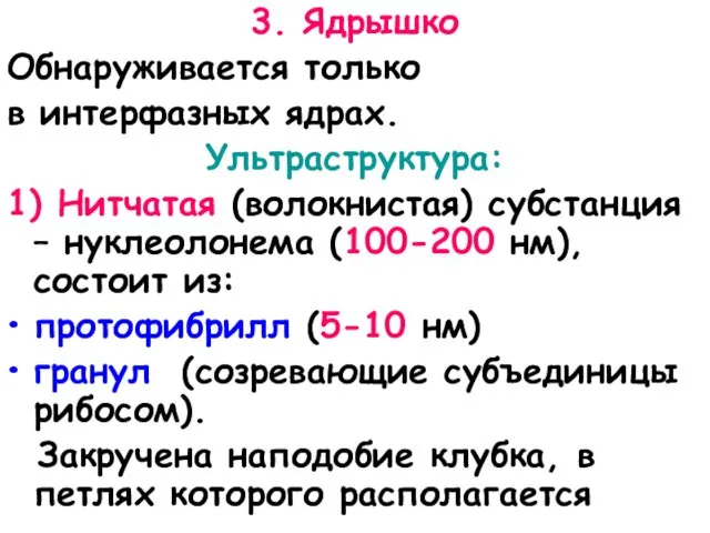 3. Ядрышко Обнаруживается только в интерфазных ядрах. Ультраструктура: 1) Нитчатая