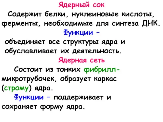 Ядерный сок Содержит белки, нуклеиновые кислоты, ферменты, необходимые для синтеза