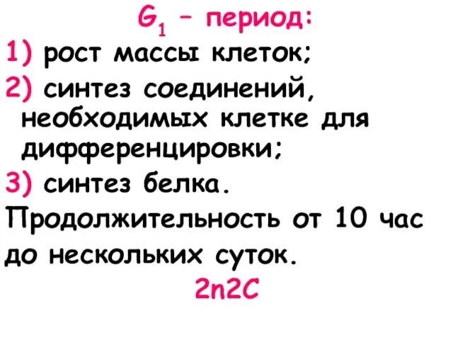 G1 – период: 1) рост массы клеток; 2) синтез соединений,