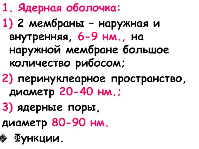 1. Ядерная оболочка: 1) 2 мембраны – наружная и внутренняя,