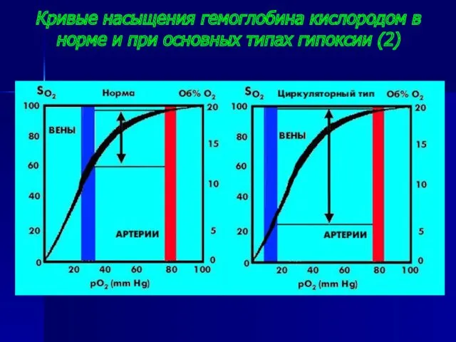 Кривые насыщения гемоглобина кислородом в норме и при основных типах гипоксии (2)