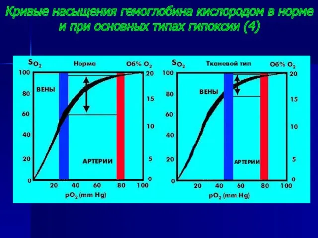 Кривые насыщения гемоглобина кислородом в норме и при основных типах гипоксии (4)