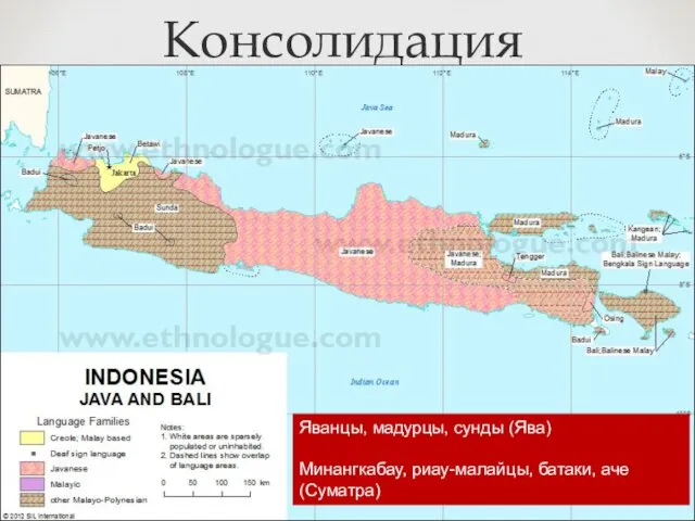 Яванцы, мадурцы, сунды (Ява) Минангкабау, риау-малайцы, батаки, аче (Суматра) Консолидация