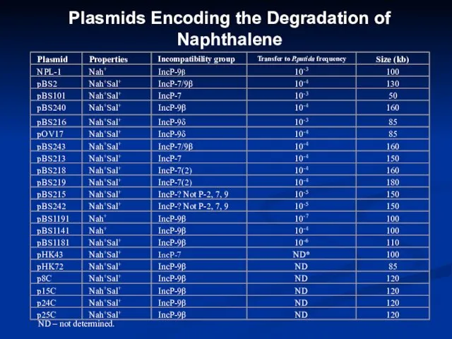 Plasmids Encoding the Degradation of Naphthalene ND – not determined.