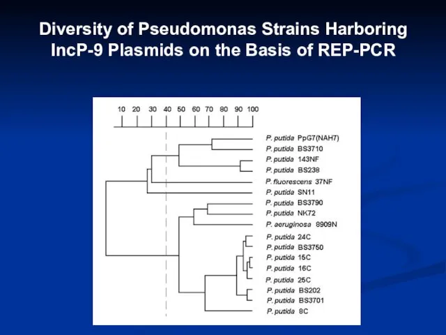 Diversity of Pseudomonas Strains Harboring IncP-9 Plasmids on the Basis of REP-PCR