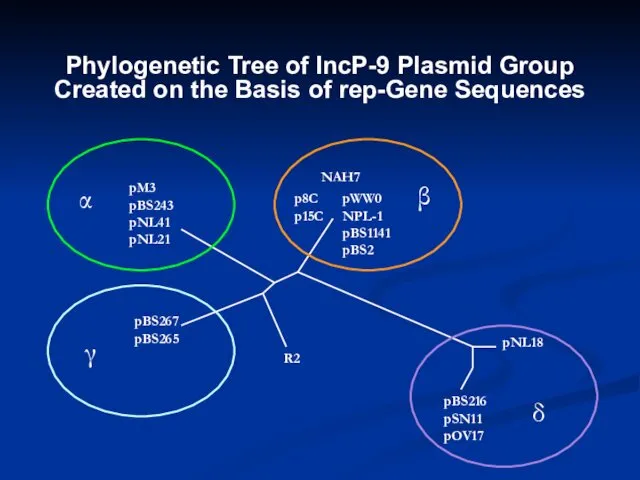 Phylogenetic Tree of IncP-9 Plasmid Group Created on the Basis of rep-Gene Sequences