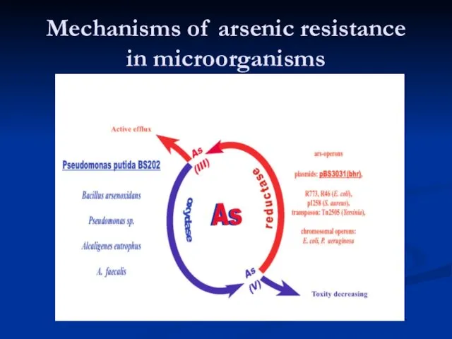 Mechanisms of arsenic resistance in microorganisms