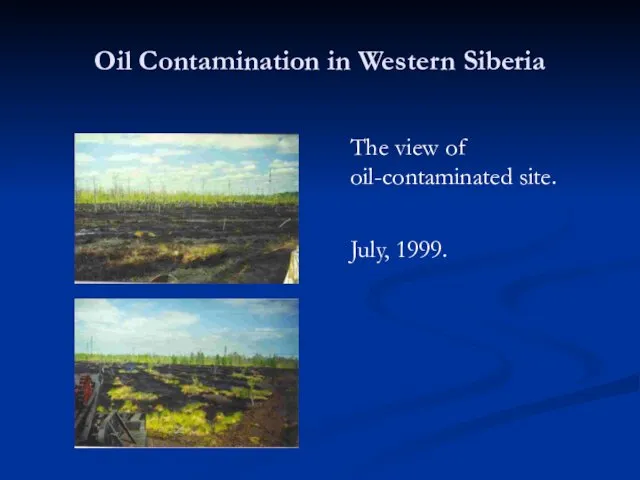 Oil Contamination in Western Siberia The view of oil-contaminated site. July, 1999.