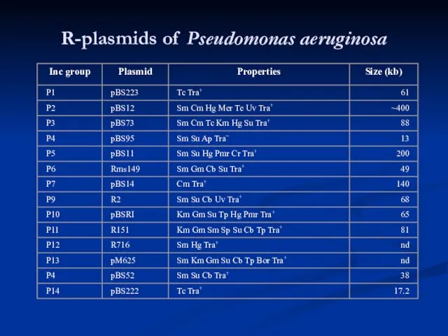 R-plasmids of Pseudomonas aeruginosa