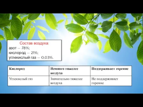 Состав воздуха: азот — 78%; кислород — 21%; углекислый газ — 0,03%.