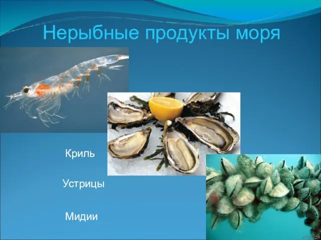 Нерыбные продукты моря Криль Устрицы Мидии