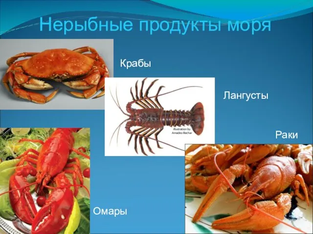 Нерыбные продукты моря Крабы Лангусты Омары Раки