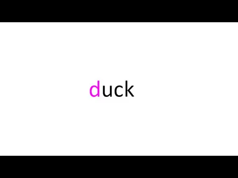 duck