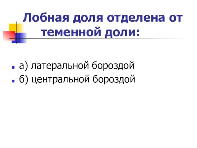 Лобная доля отделена от теменной доли: а) латеральной бороздой б) центральной бороздой