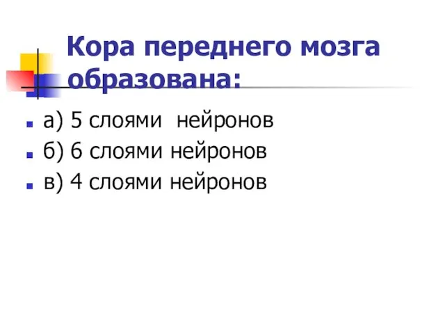 Кора переднего мозга образована: а) 5 слоями нейронов б) 6 слоями нейронов в) 4 слоями нейронов