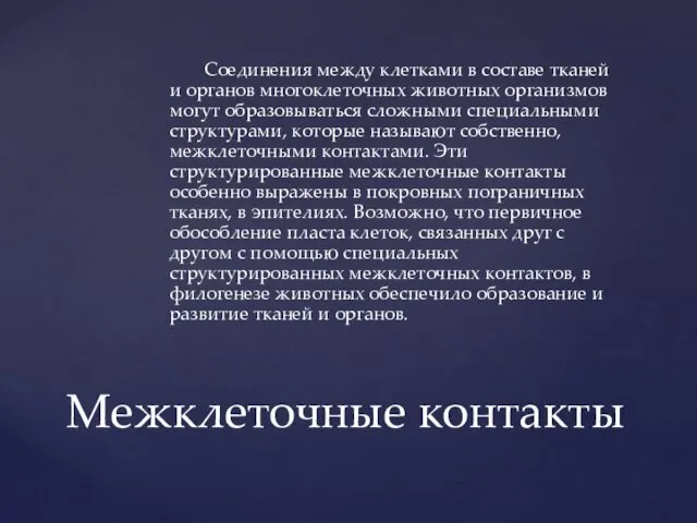 Соединения между клетками в составе тканей и органов мно­гоклеточных животных организмов могут образовываться