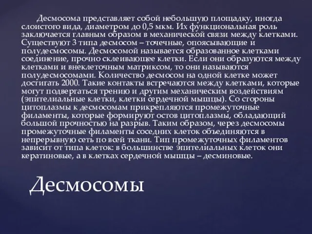 Десмосома представляет собой небольшую площадку, иногда слоистого вида, диаметром до 0,5 мкм. Их