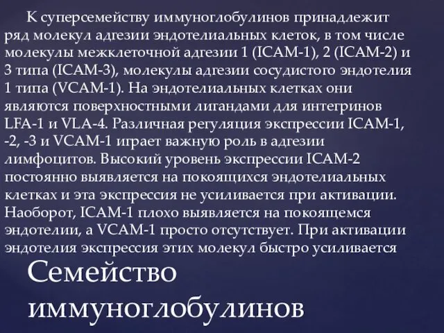 К суперсемейству иммуноглобулинов принадлежит ряд молекул адгезии эндотелиальных клеток, в том числе молекулы