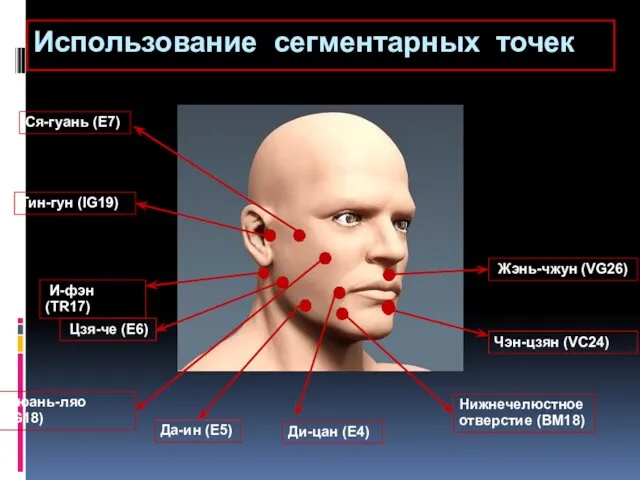 Использование сегментарных точек