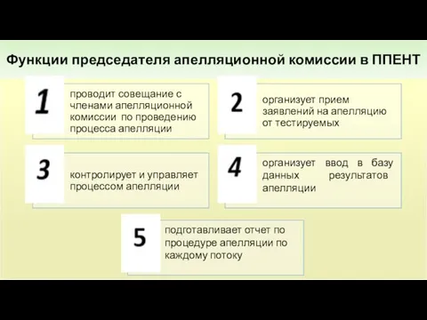Функции председателя апелляционной комиссии в ППЕНТ