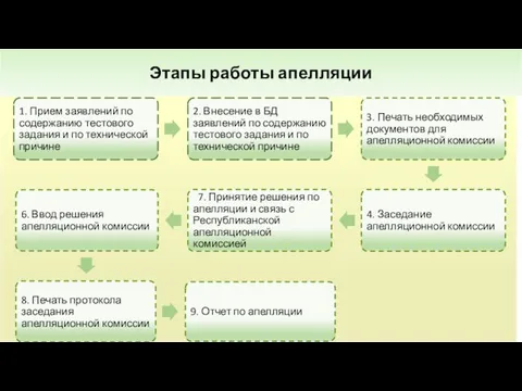 Этапы работы апелляции