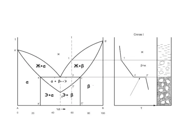 α β Ж+α Ж+β Э+α Э+ β α + β↔Э