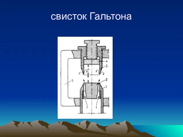 свисток Гальтона