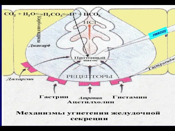 Нексиум