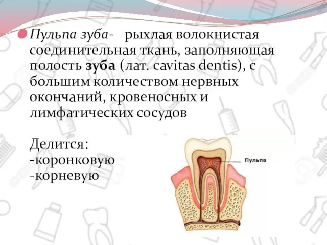 Пульпа зуба-.. рыхлая волокнистая соединительная ткань, заполняющая полость зуба (лат.