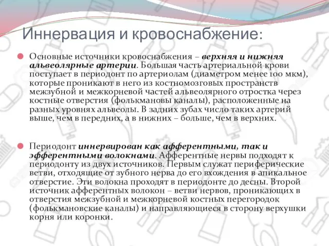 Иннервация и кровоснабжение: Основные источники кровоснабжения – верхняя и нижняя