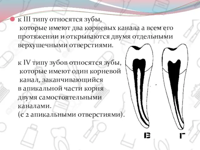 к III типу относятся зубы, которые имеют два корневых канала