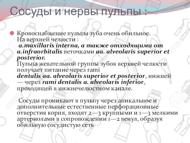 Сосуды и нервы пульпы : Кровоснабжение пульпы зуба очень обильное.