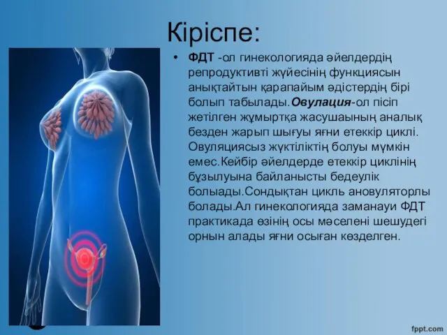 Кіріспе: ФДТ -ол гинекологияда әйелдердің репродуктивті жүйесінің функциясын анықтайтын қарапайым
