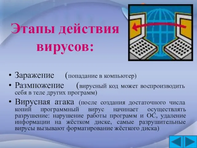 Этапы действия вирусов: Заражение (попадание в компьютер) Размножение (вирусный код